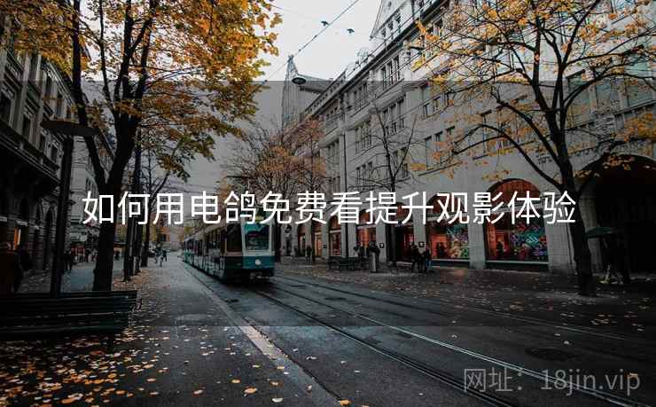 如何用电鸽免费看提升观影体验