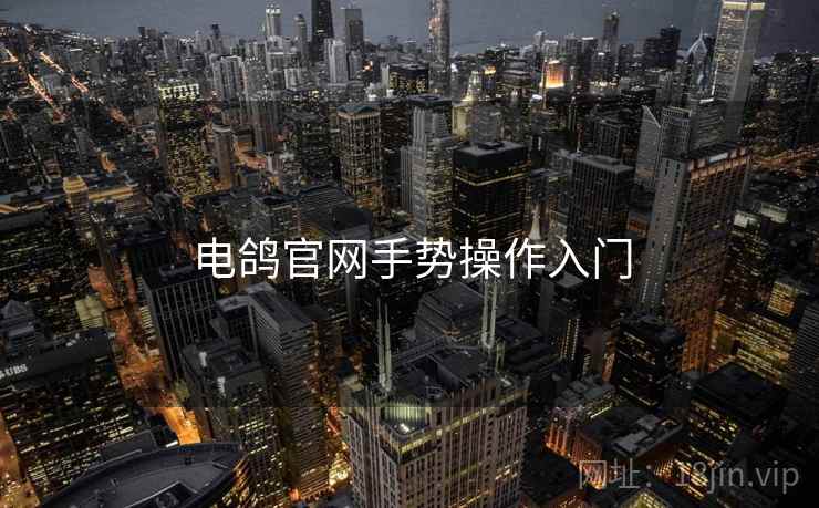 电鸽官网手势操作入门