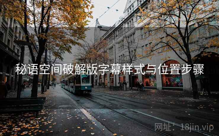 秘语空间破解版字幕样式与位置步骤