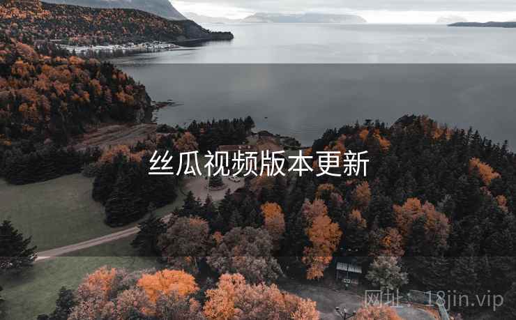 丝瓜视频版本更新