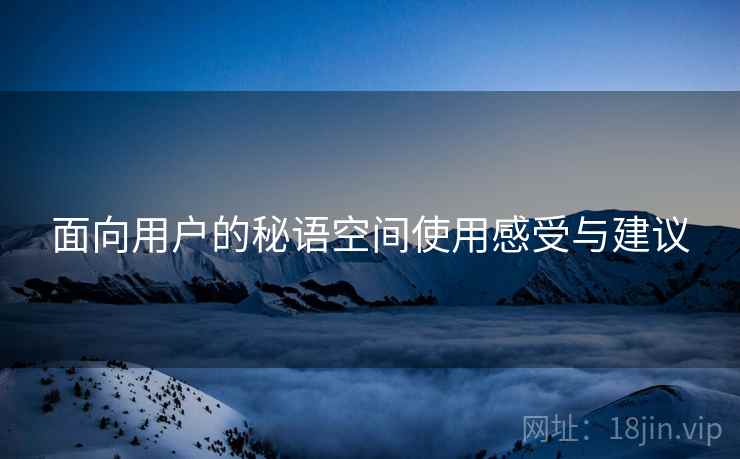 面向用户的秘语空间使用感受与建议