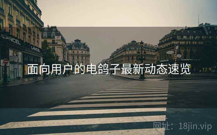 面向用户的电鸽子最新动态速览