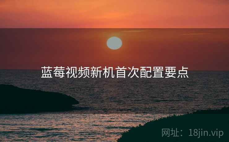 蓝莓视频新机首次配置要点