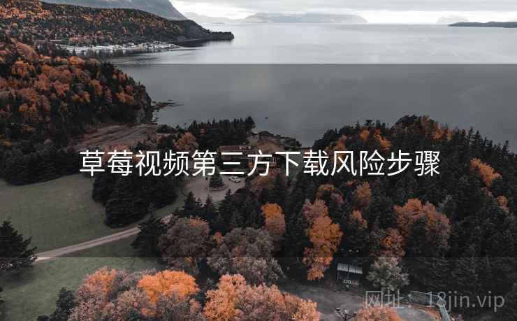 草莓视频第三方下载风险步骤