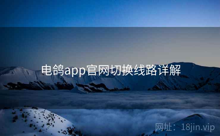 电鸽app官网切换线路详解