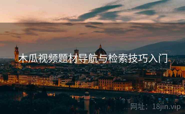 木瓜视频题材导航与检索技巧入门