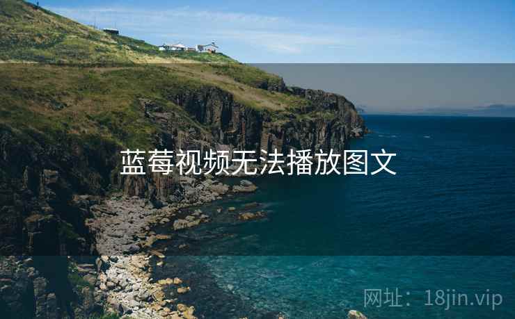 蓝莓视频无法播放图文