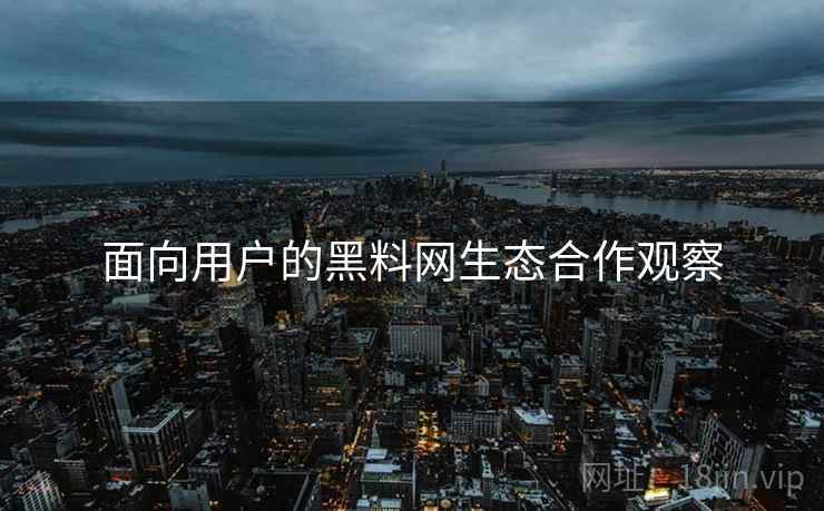 面向用户的黑料网生态合作观察