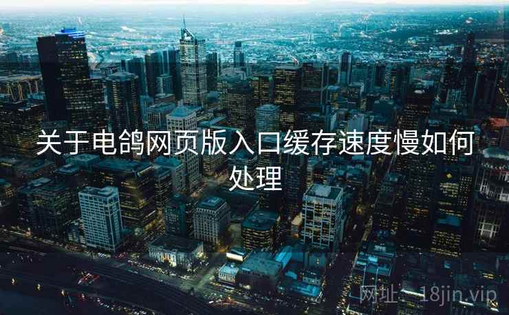 关于电鸽网页版入口缓存速度慢如何处理