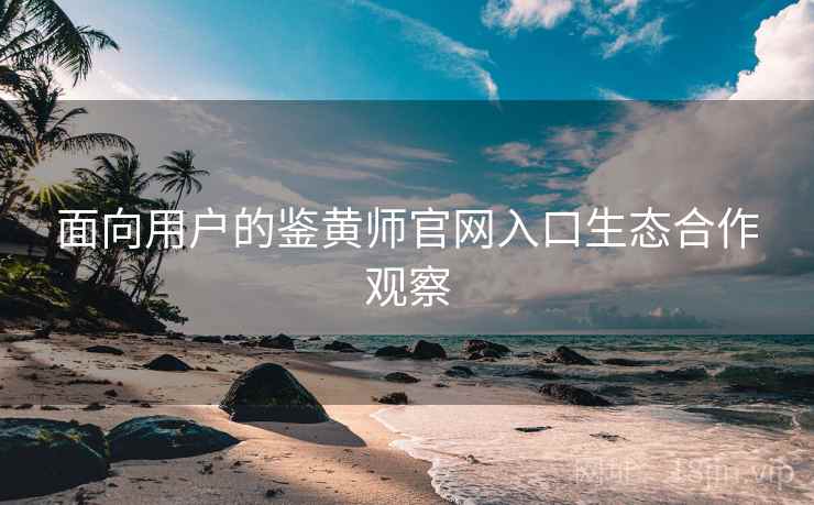 面向用户的鉴黄师官网入口生态合作观察