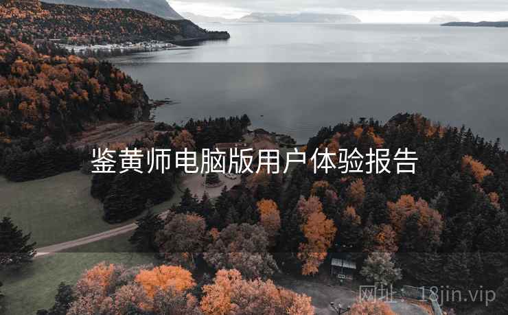 鉴黄师电脑版用户体验报告