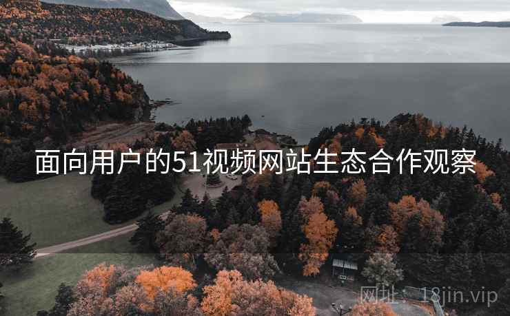 面向用户的51视频网站生态合作观察