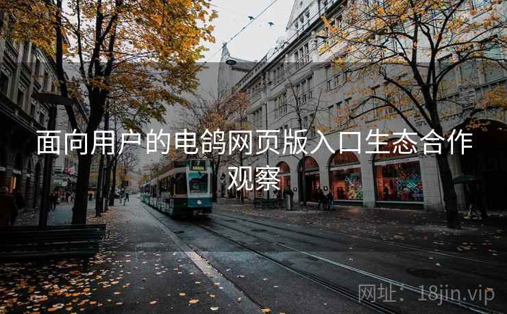 面向用户的电鸽网页版入口生态合作观察