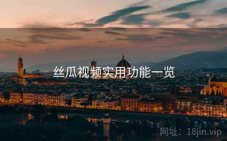 丝瓜视频实用功能一览