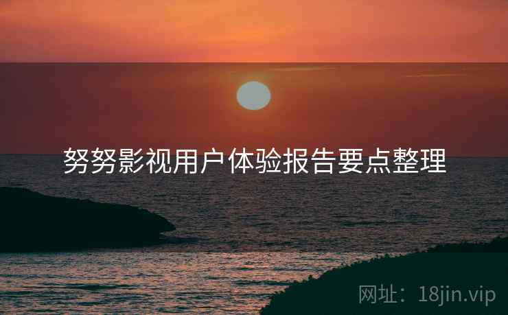 努努影视用户体验报告要点整理