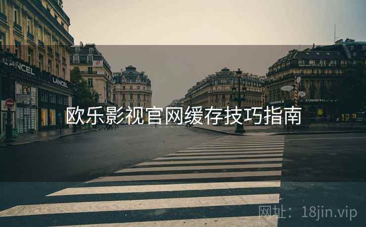 欧乐影视官网缓存技巧指南