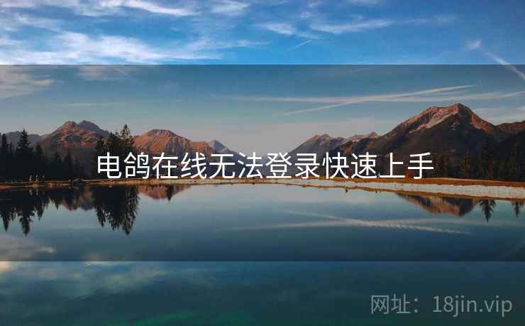 电鸽在线无法登录快速上手